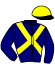 Casaque du jockey de Malika Du Guesclin