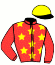 Casaque du jockey de Nice Girl Du Midi