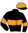 Casaque du jockey de Muse Ligerienne