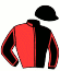 Casaque du jockey de Lussac De Vandel