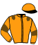 Casaque du jockey de Joker Du Pont