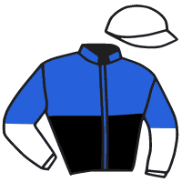 Casaque du jockey de Licolas Du Viclau