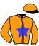 Casaque du jockey de Kopa D'Arc