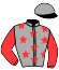 Casaque du jockey de Kim De Beaum
