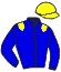 Casaque du jockey de Roman Lady