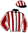 Casaque du jockey de Alexej