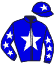 Casaque du jockey de Ecology