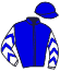 Casaque du jockey de Elfenn