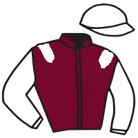 Casaque du jockey de Salsa Rose