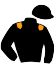 Casaque du jockey de Europe