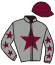 Casaque du jockey de Melcastille