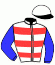 Casaque du jockey de Jericho D'Em