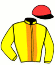 Casaque du jockey de Jurilovca