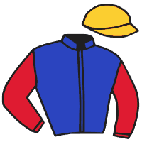 Casaque du jockey de Hotline Javanaise