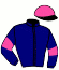 Casaque du jockey de Nectar Vrie