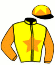 Casaque du jockey de Mouda