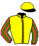 Casaque du jockey de Epi