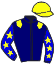 Casaque du jockey de Hall of Fame