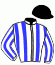 Casaque du jockey de Jeu Du Destin