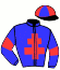 Casaque du jockey de Hobrion De Houelle
