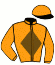 Casaque du jockey de Royalty Fair