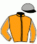 Casaque du jockey de Sumava