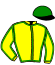 Casaque du jockey de Victory Wind