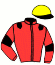 Casaque du jockey de Ixias