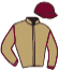 Casaque du jockey de Kepler