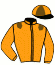 Casaque du jockey de Ma Joie