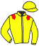 Casaque du jockey de Flamingway