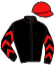 Casaque du jockey de Dawn Spirit