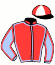 Casaque du jockey de Elvetica