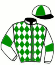 Casaque du jockey de Aurora Borealis
