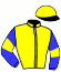 Casaque du jockey de Indien De Vivoin