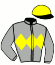 Casaque du jockey de Golden Vale