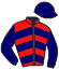 Casaque du jockey de Queen De Teillee