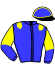 Casaque du jockey de Joyeux Cordiere