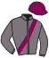 Casaque du jockey de Serpentard