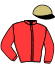 Casaque du jockey de Marlowe