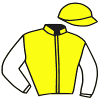 Casaque du jockey de Saint Martin