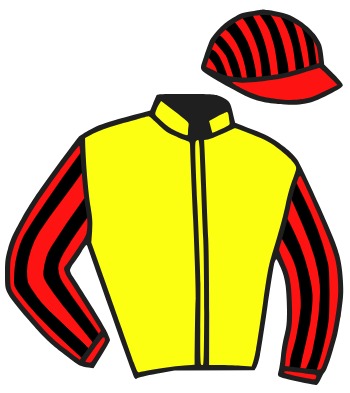 Casaque du jockey de Romancier Nocturne