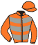 Casaque du jockey de Isneauville