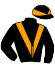 Casaque du jockey de Roi Trezy