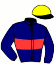 Casaque du jockey de Santa Luzia