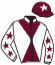 Casaque du jockey de Joyeuse Sage
