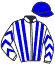 Casaque du jockey de Seagulls Eleven