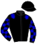 Casaque du jockey de Dalecarlian