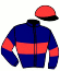 Casaque du jockey de Le Rozel