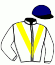 Casaque du jockey de Michel